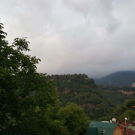 Hillside Orbeliani Residence Borjomi Ngoại thất bức ảnh