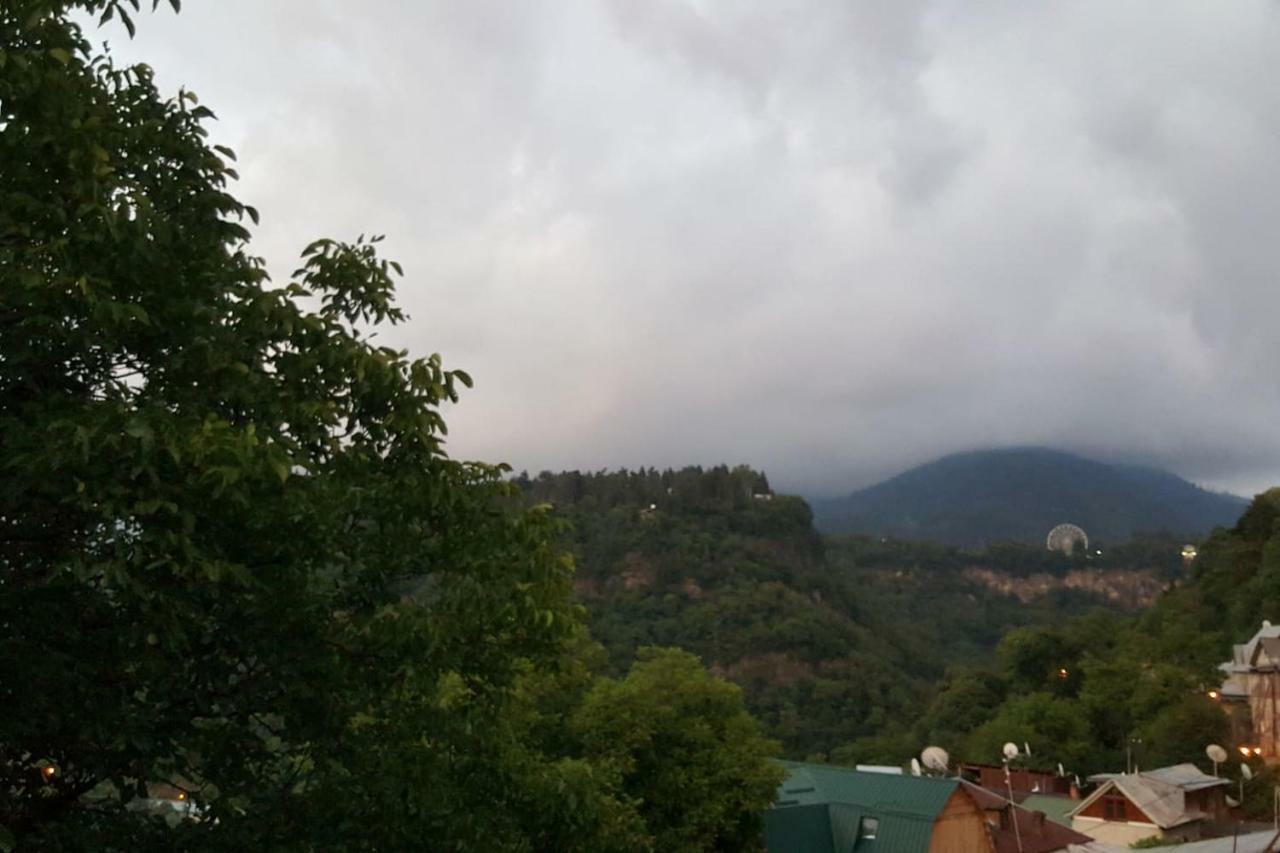 Hillside Orbeliani Residence Borjomi Ngoại thất bức ảnh