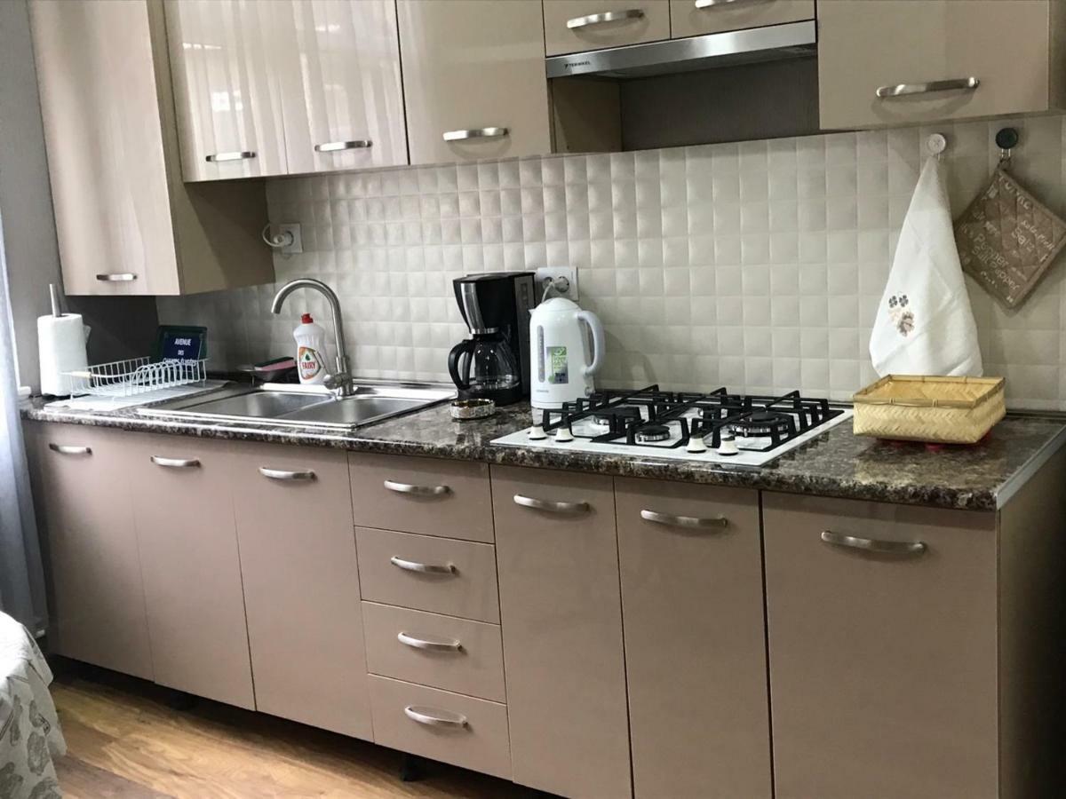 Hillside Orbeliani Residence Borjomi Ngoại thất bức ảnh